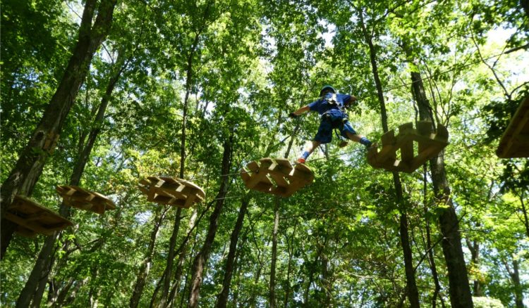 Another of the things to do with kids in Indianapolis - Koweewi Aerial Park
