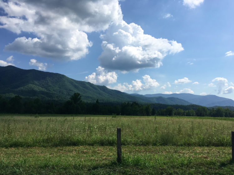 Historic Cades Cove Loop - Great Smoky Mountains National Park