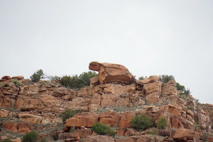 Rock formations in different shapes, like the turtle seen in this picture, are one of the reasons this is a family friendly train in Arizona. Photo by Multidimensional SheBuysTravel, Kristi Mehes.