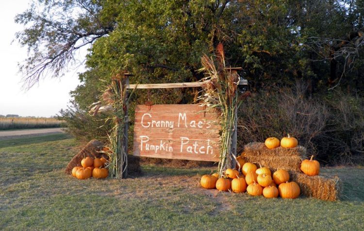 Granny Mae’s Pumpkin Patch, Dorrance, Kansas