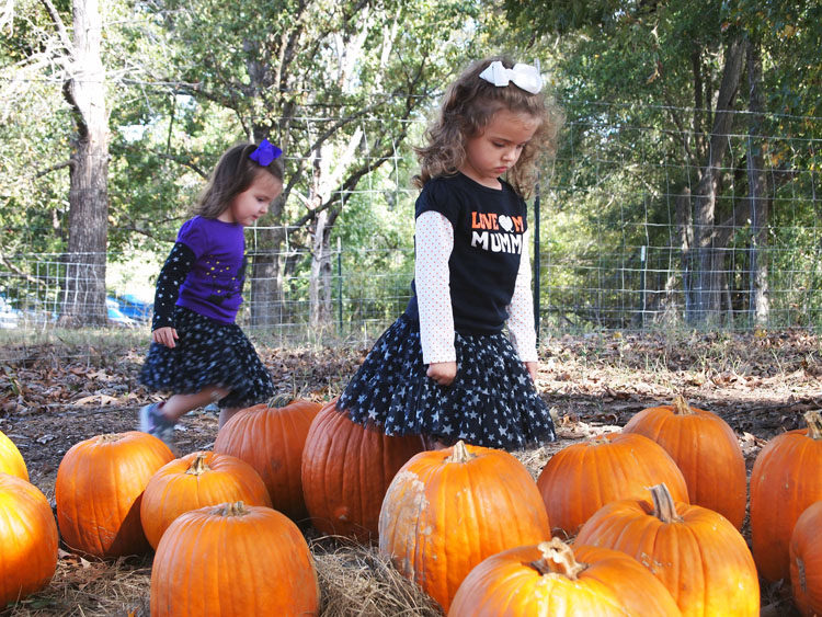 Pumpkin picking with young children is a favorite autumn activity.