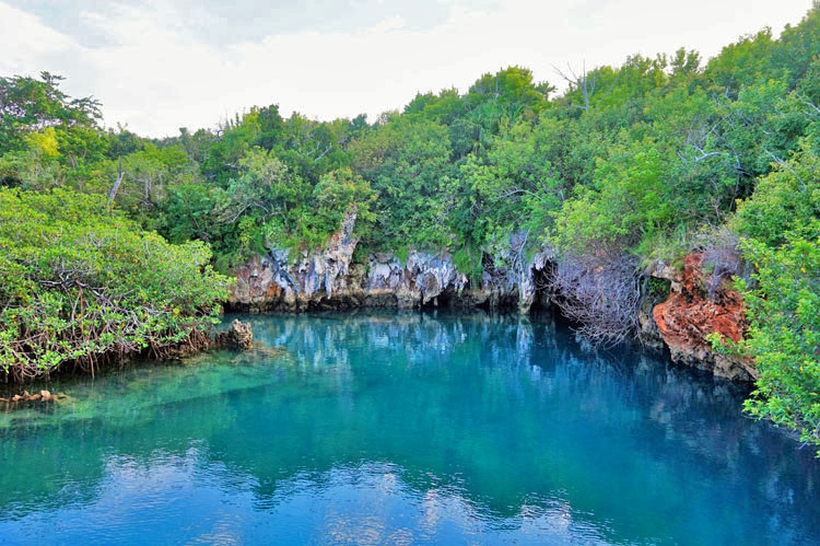 Walsingham Nature Reserve in Bermuda offers underground caves you can swim in during your active spring break vacation.