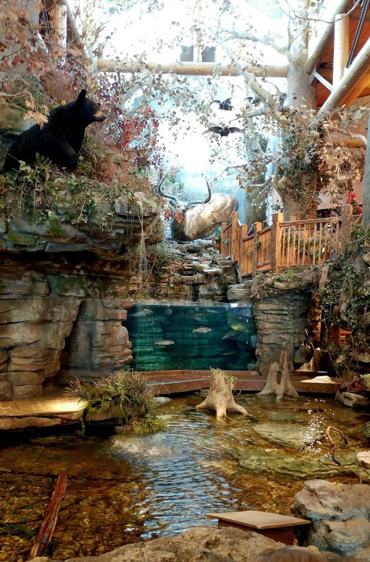 Where can you see polar bears and alligators? At outdoor retailer Bass Pro Shops! The best part? It's free family fun in Springfield MO! 