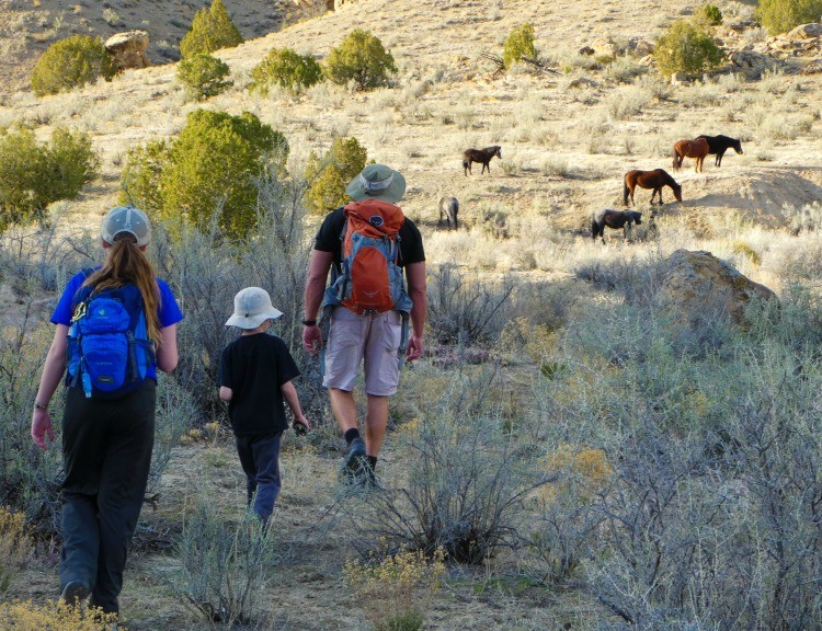 Colorado Little Bookcliffs Wild Horses area is a fun free activity for families. Hiking trails are open year round.