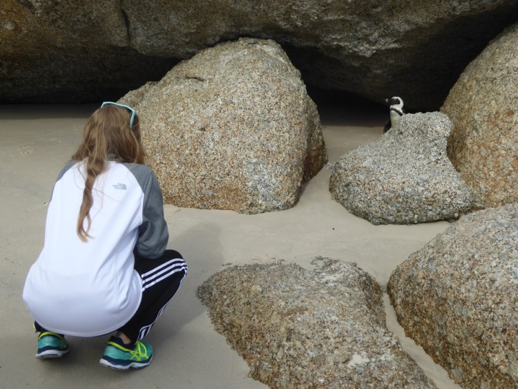 One of the things to do with kids in Cape Town is Penguins on Boulder Beach in South Africa.
