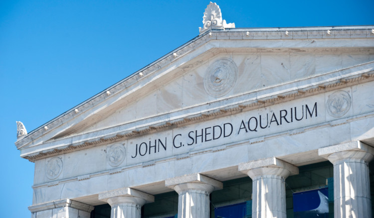 Chicago's Shedd Aquarium facade - beautiful and intriguing, but is a visit worth it?