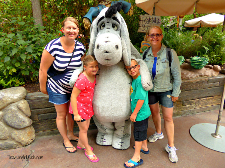 Plan Multigenerational family travel vacation to Disney - Character meet and greets and photo opps