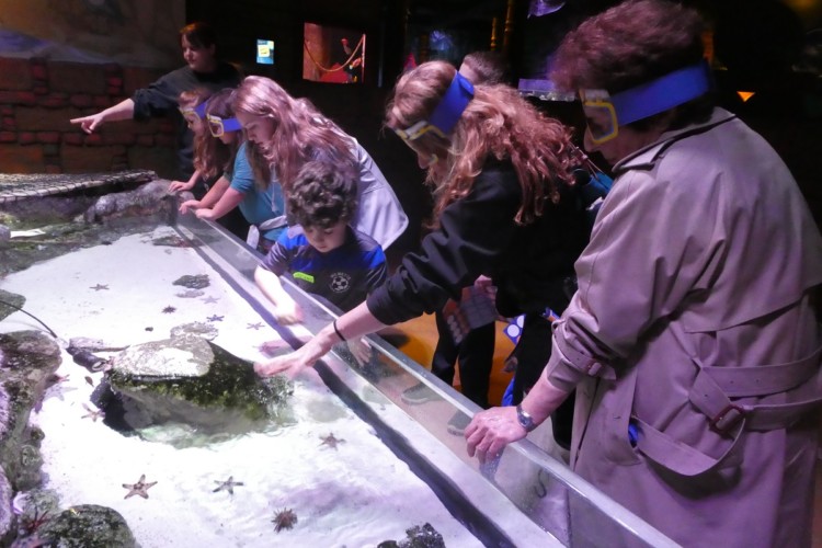 Visit the SEA LIFE Aquarium in Kansas City - fun for all ages on a multi generation vacation.