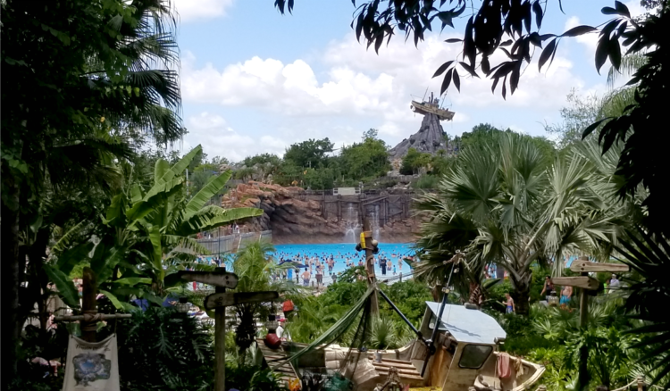 A great overlook is available just inside Disney's Typhoon Lagoon water park 