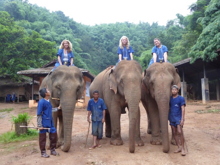 You can ride elephants at the Anantara Golden Triangle Elephant Camp and Resort in Chiang Mai, Thailand with kids.