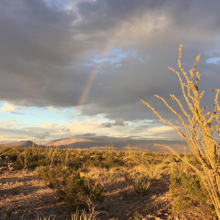 We were lucky to see a rainbow while touring Big Bend National Park. Rainy season lasts from June to late October in the park