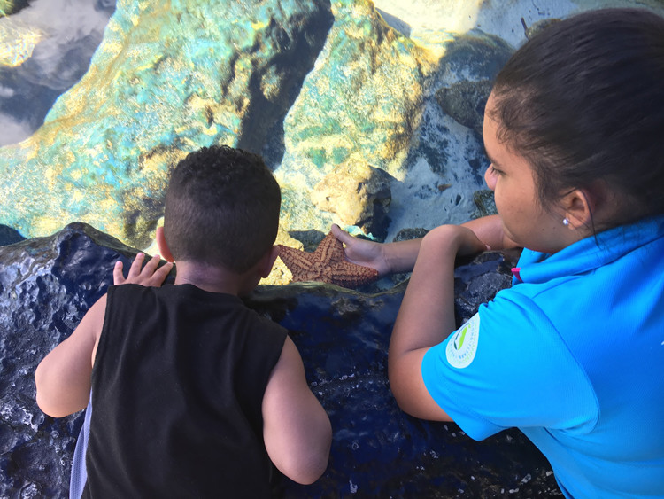 The Interactive Aquarium in cancun, Mexico is great for hands-on fun!