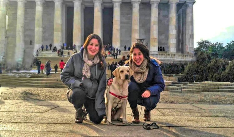 Have you explored dog friendly DC?