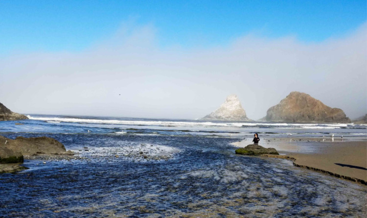 The Oregon Coast with kids is a great family vacation