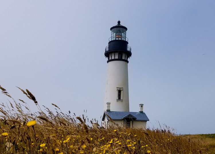 Yaquina Head State Park is a great day on the Oregon Coast with Kids