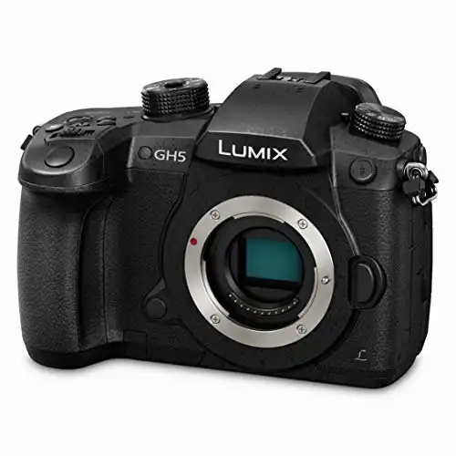 Panasonic LUMIX GH5 4K Digital Camera